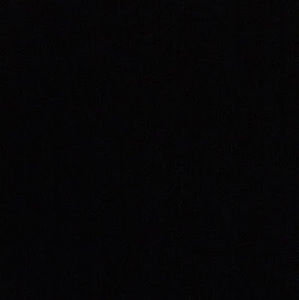 Meet your Posher, Ludo